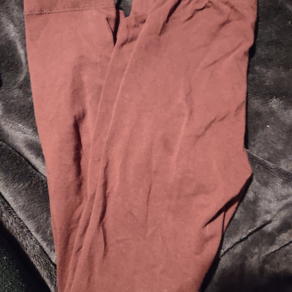 Cat & Jack Kids' Chocolate Joggers